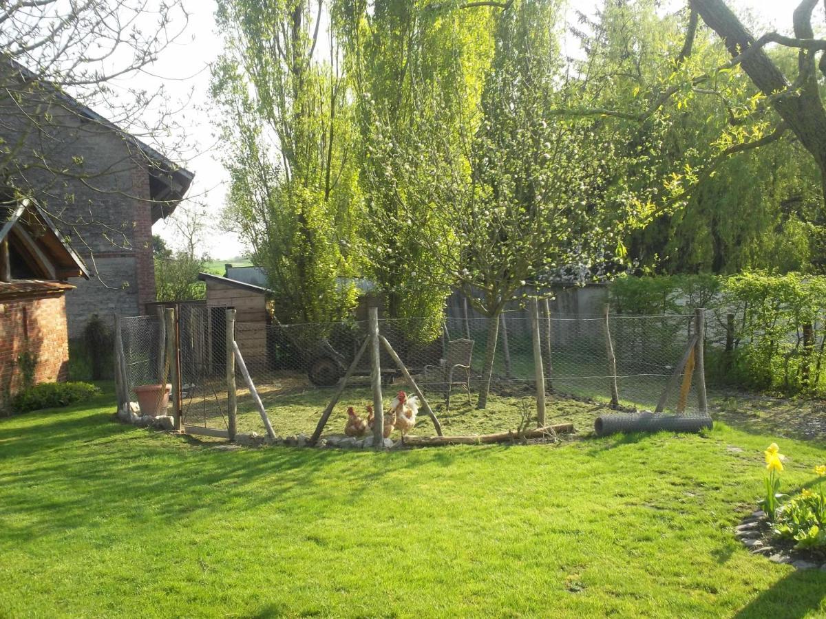 Chambre D'Hotes Des P'Tits Bonheurs Dosches ภายนอก รูปภาพ